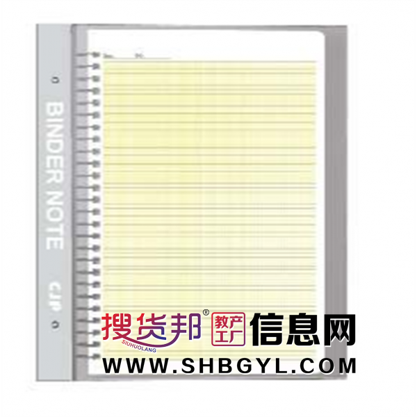 纠错本-PP活页夹本精美抄录本简约笔记本文艺课堂笔记学生本作业本图1