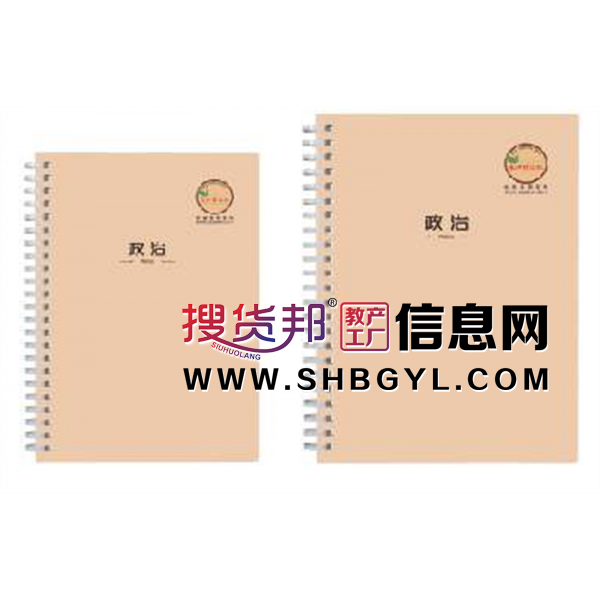 历史政治-PP软线圈本抄录本课堂笔记文艺精美学生作业本简约笔记本图2