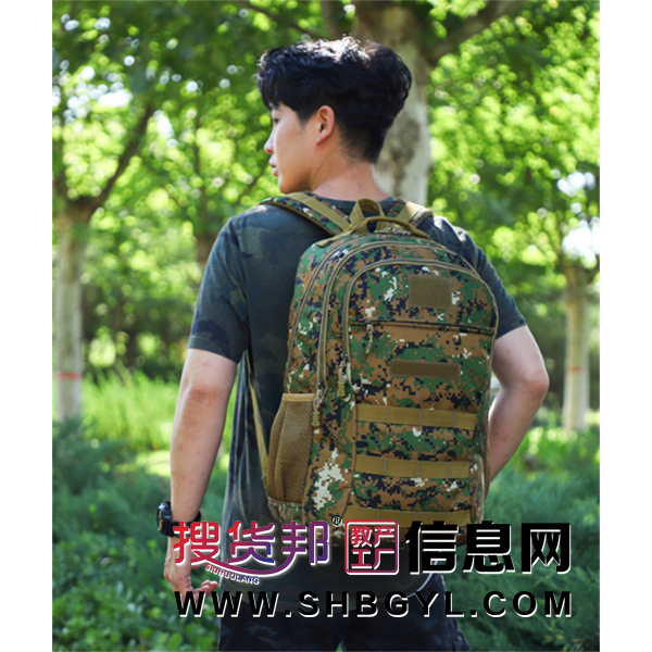 户外运动双肩包男女轻便背包休闲多色旅行登山包战术包电脑包图1