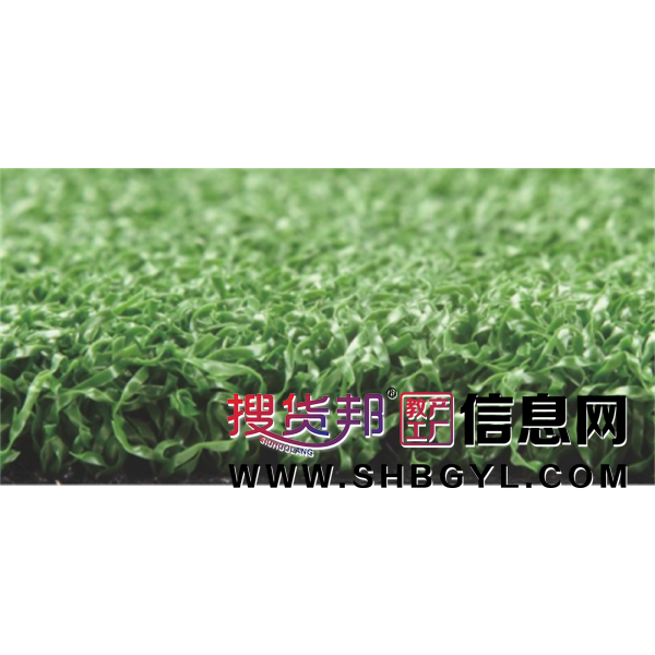幼儿园游乐设施校园内基础设施草坪/地垫系列2305高尔夫专用草图1