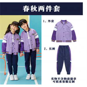 秋季儿童装运动两件套班服春秋一二年级小学生校服套装