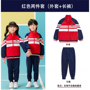 小学生校服两件套装幼儿园园服春秋儿童班服秋季初中生运动服套装