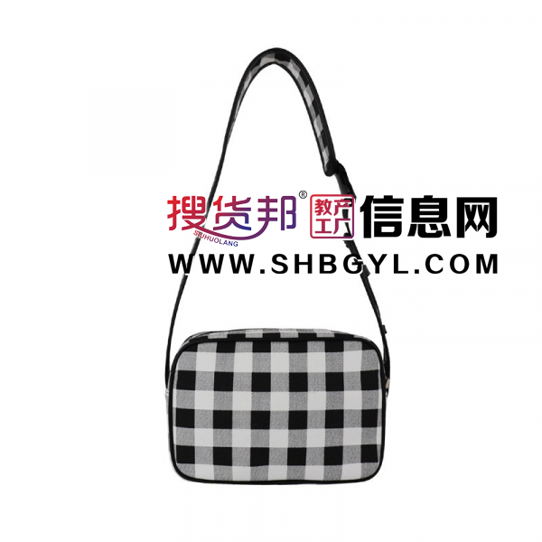 休闲潮牌相机包数码包小众设计游戏机包跨境新女单肩包帆布格子包图3