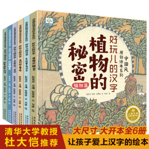 精装中国风原创绘本系列好玩儿的汉字（6本塑封）