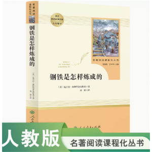 名著阅读课程化丛书钢铁是怎样炼成的中小学语文教材配套阅读八年级下