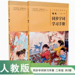 套装义务教育教科书语文人教版同步字词学习手册二年级