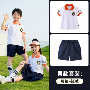 丽可珑夏校服套装小学生班服定做POLO衫棉短袖T恤幼儿园园服