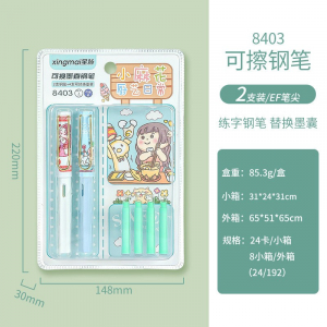 金笔尖学生练字笔可换墨囊2支儿童节可擦钢笔套装