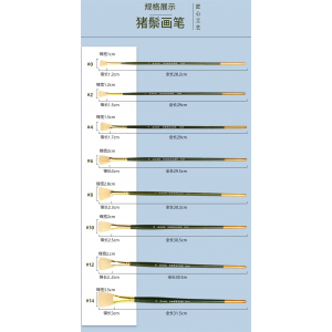 定制猪鬃扇形笔 8支装水粉丙烯油画笔套装猪毛扇形笔