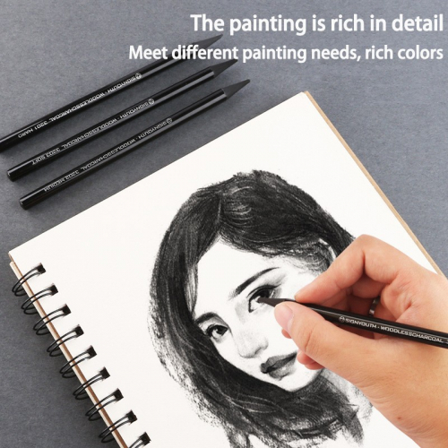 学生绘画素描炭笔美术用品专业碳素笔无木杆美术手绘专用速写碳图3