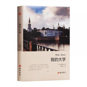 世界名著文学小说青少年版书籍 正版我的大学 中学生课外读物