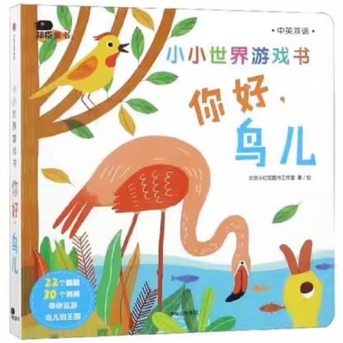 （畅销精装绘本）帮臣童书：小小世界游戏书：你好，鸟儿【中英双语】图1