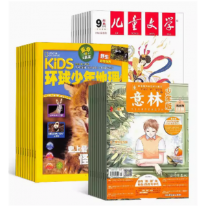 儿童文学（少年版）+环球少年地理+意林少年版杂志组合订阅