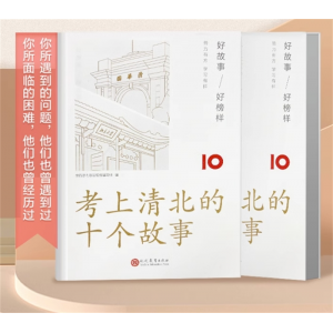 考上清北的十个故事正版育儿书籍父母养育男孩女孩你是在为谁初中家庭教育畅销书