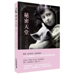 秘境秘密天堂初中生阅读课外书籍