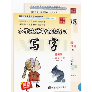 儿童字帖练字练字帖一二三四年级同步字帖小学生硬笔书法初学者人教版