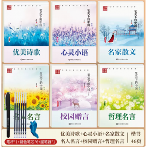 楷书字帖练字成年大学生正楷字帖行书行楷高中初中生成人写字帖临摹钢笔硬笔