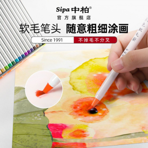 中柏SB100彩色画笔套装 学生水彩绘笔画画可水洗画笔20色套装