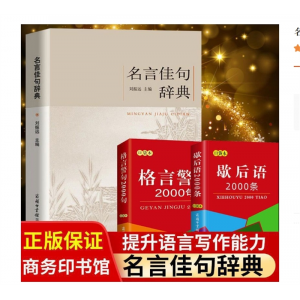 名言佳句辞典初中高中生青少年大学生语文课外阅读名人名言的书籍