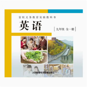 九年级全一册3片CD非纸质书盲校义务教育实验教科书英语