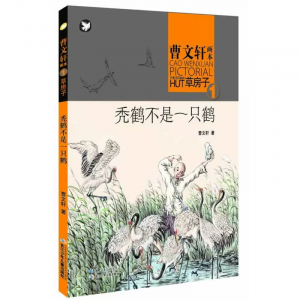 曹文轩画本草房子秃鹤不是一只鹤
