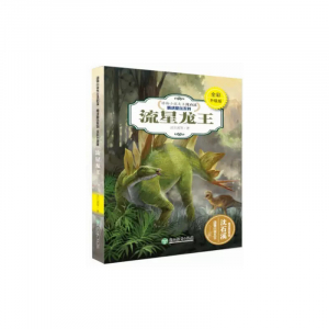 动物小说大王沈石溪·精读酷玩系列流星龙王