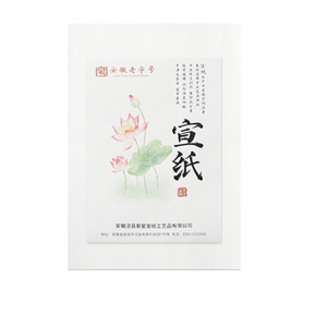 初学者学生用国画纸书画练习宣纸8k安徽宣纸4K半生半熟颜料纸