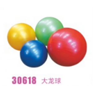 幼儿园游乐设施儿童娱乐感统系列大龙球