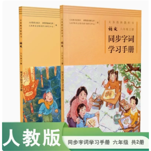 六年级语文人教版同步字词学习手册义务教育教科书套装