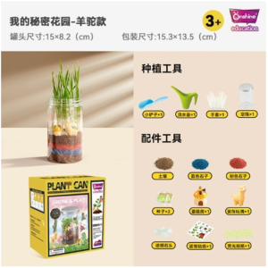 热款小学生种草种花培养罐透明小花盆种植花草生态园