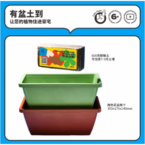 阳光房科学实验创意手工diy材料移栽大花盆大块椰糠土种植