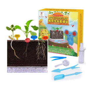 科学小实验套装植物根系种植观察窗小学生儿童手工diy材料包玩具