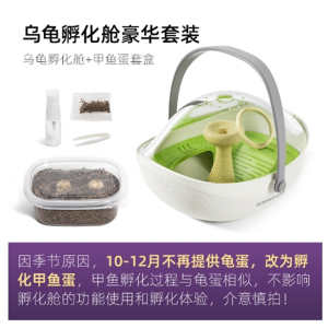 乌龟蛋可孵化成长仓活物爬台晒台专用乌龟缸宠物饲养箱小龟别墅盒