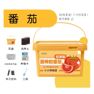 儿童种植盆栽科学小实验套装小学生幼儿园种菜植物生长观察盒玩具