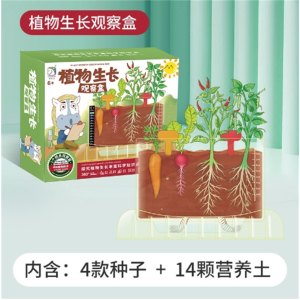 儿童DIY种植套装玩具种子观察窗小学生幼儿园种菜盆阳光房