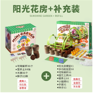 儿童迷你种植阳光房植物观察窗种子盒发芽生长桌面盆栽套装玩具