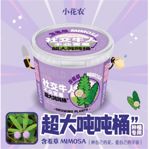 小花农儿童种植科学小实验植物生长观察盒种子种菜玩具学生科教玩