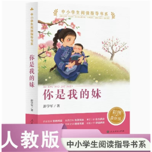 你是我的妹 中小学生阅读指导书系彩图最新版经典儿童小说