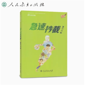 急速抄截 儿童文学原创作品校园星阅读系列丛书