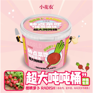 儿童种植科学小实验植物生长观察盒种子种菜玩具学生科教玩