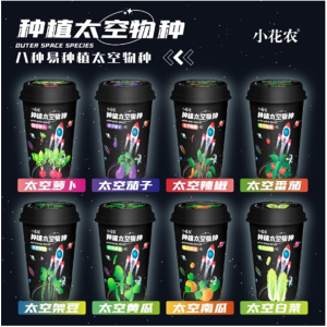 桌面绿植盆栽手工DIY儿童种植玩具礼物太空物种展示盒装观察玩具