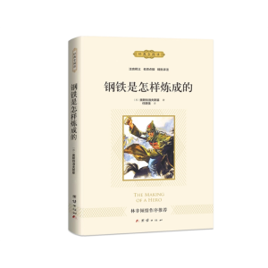 钢铁是怎样炼成的 儿童文学书籍原著经典文学正版阅读课外书中小学生
