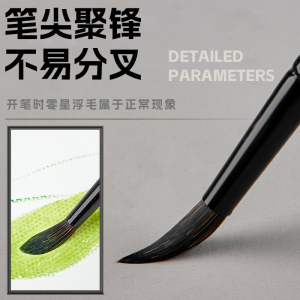 黑天鹅水彩笔水彩画笔套装勾线笔颜料笔尼龙色彩圆头松鼠毛动物毛