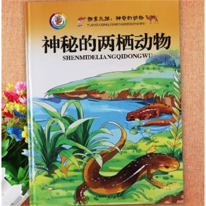 探索之旅:神秘的两栖动物-绘本硬壳早教绘本阅读故事书幼儿百科全书小百科启蒙认知动物