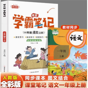 一年级语文上册-人教版语数英讲解随堂笔记下学期复习参考教辅阅读书学霸笔记