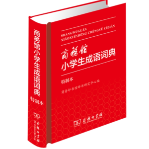 小学生成语词典-专用全多功能字典人教大字本词典大全工具书新华字典