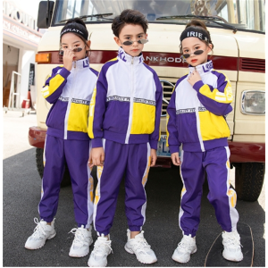 一年级儿童校服套装幼儿园园服老师小学生班服春秋装冲锋衣2件套