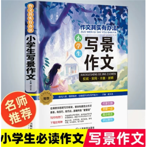 写景作文-作文其实有办法老师推荐精选分类全国优秀作文选辅导训练大全