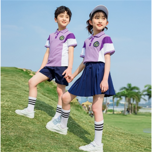 夏装校服紫色班服儿童圆领短袖运动套装小学生校服班服