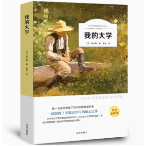 我的大学 无障碍阅读必读课外书中小学课外阅读原著彩绘版完整版推荐课外书籍